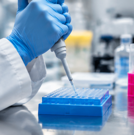 Gloved hand pipetting into a 96-well plate at a laboratory bench