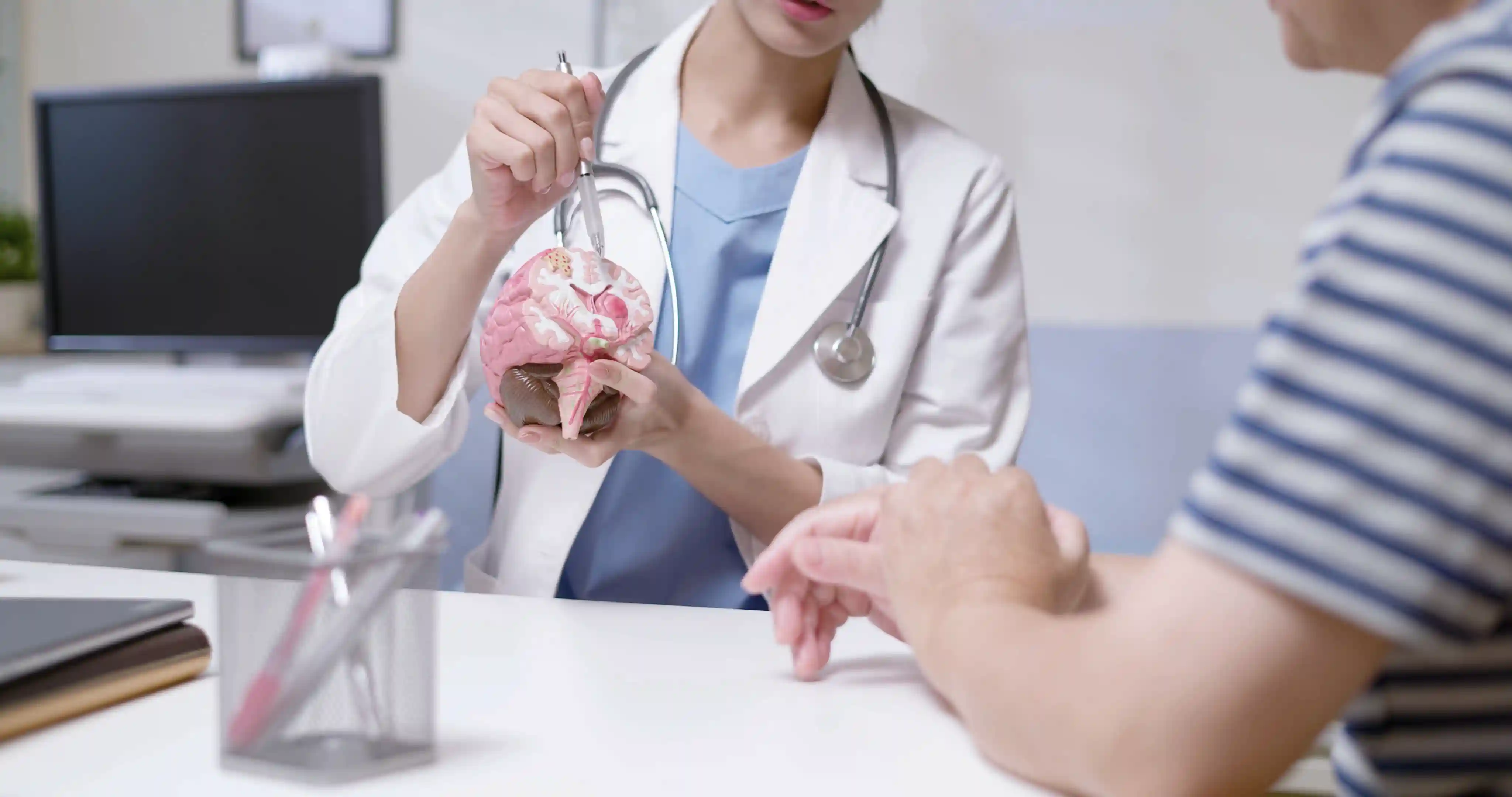 Doctor showing a brain model during a neurological consultation with a patient.
