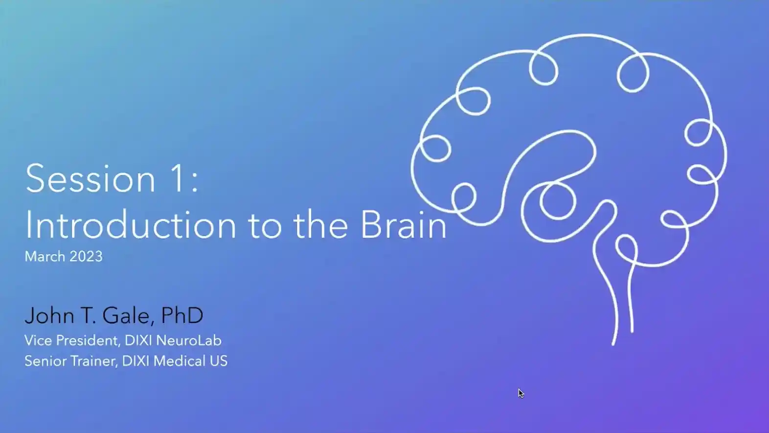 Introduction to the Brain | E1