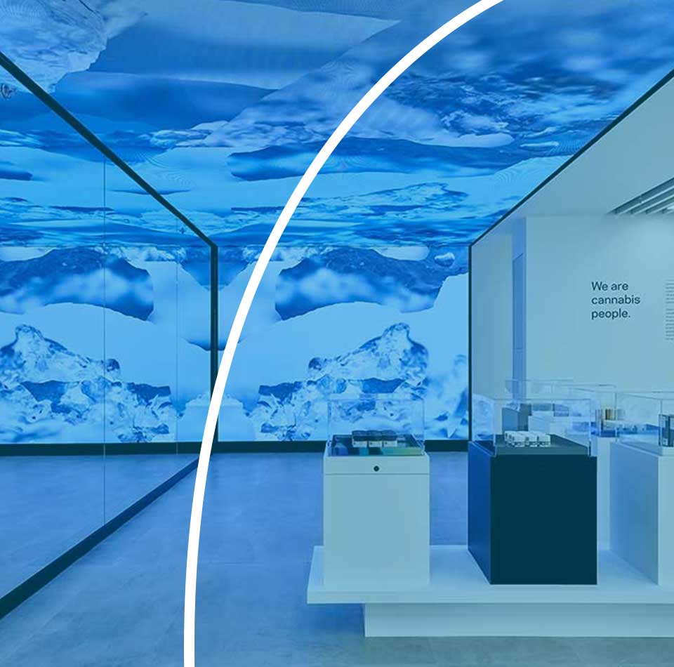 Écran LED Street Communication en action