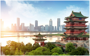 Gros plan sur le panneau LED — Street Communication