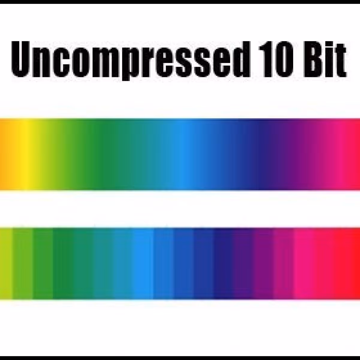 The Reality in Screens The Era of HDR & WCG Screens - Street Communication