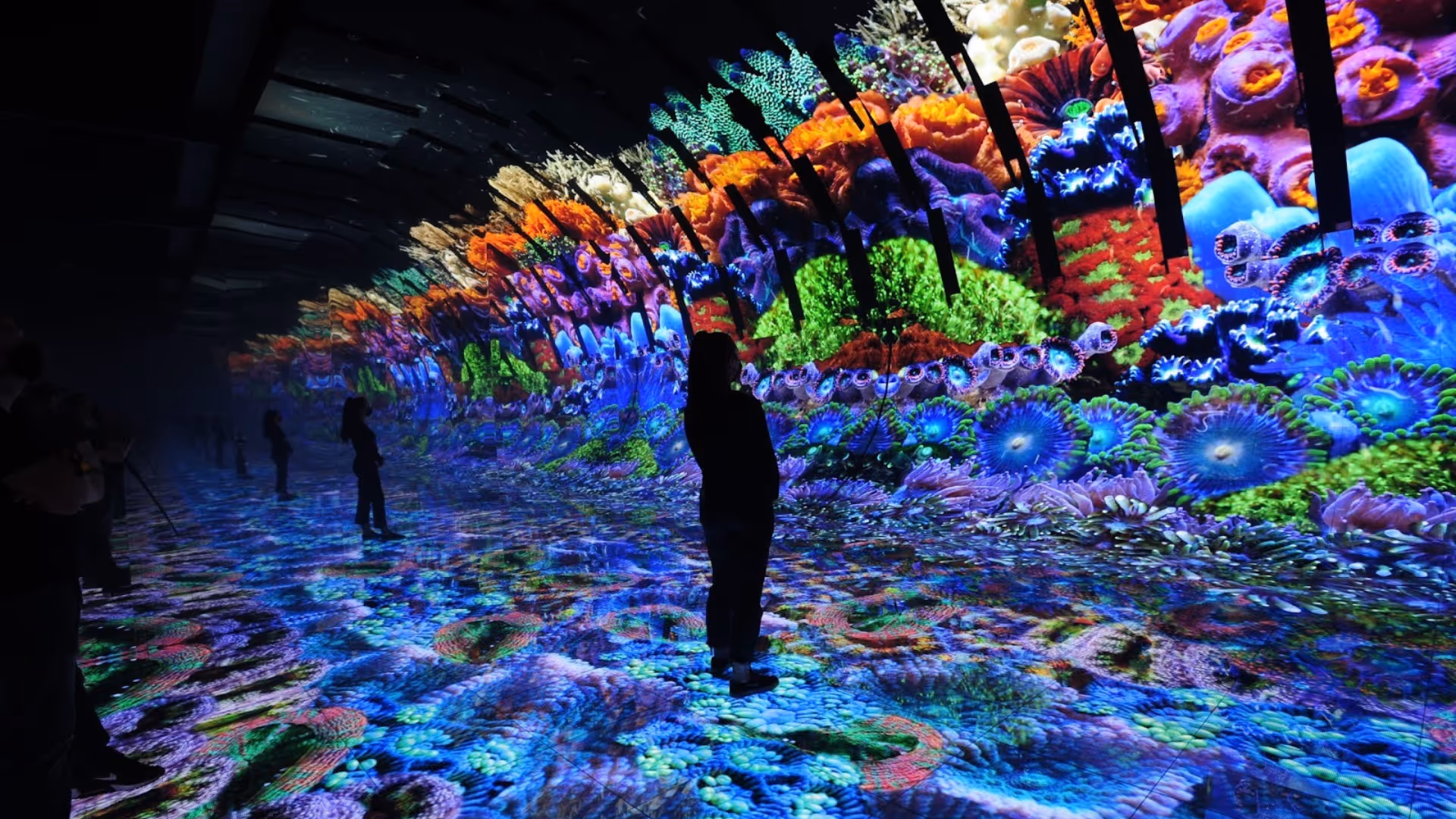 Street co led mesh light