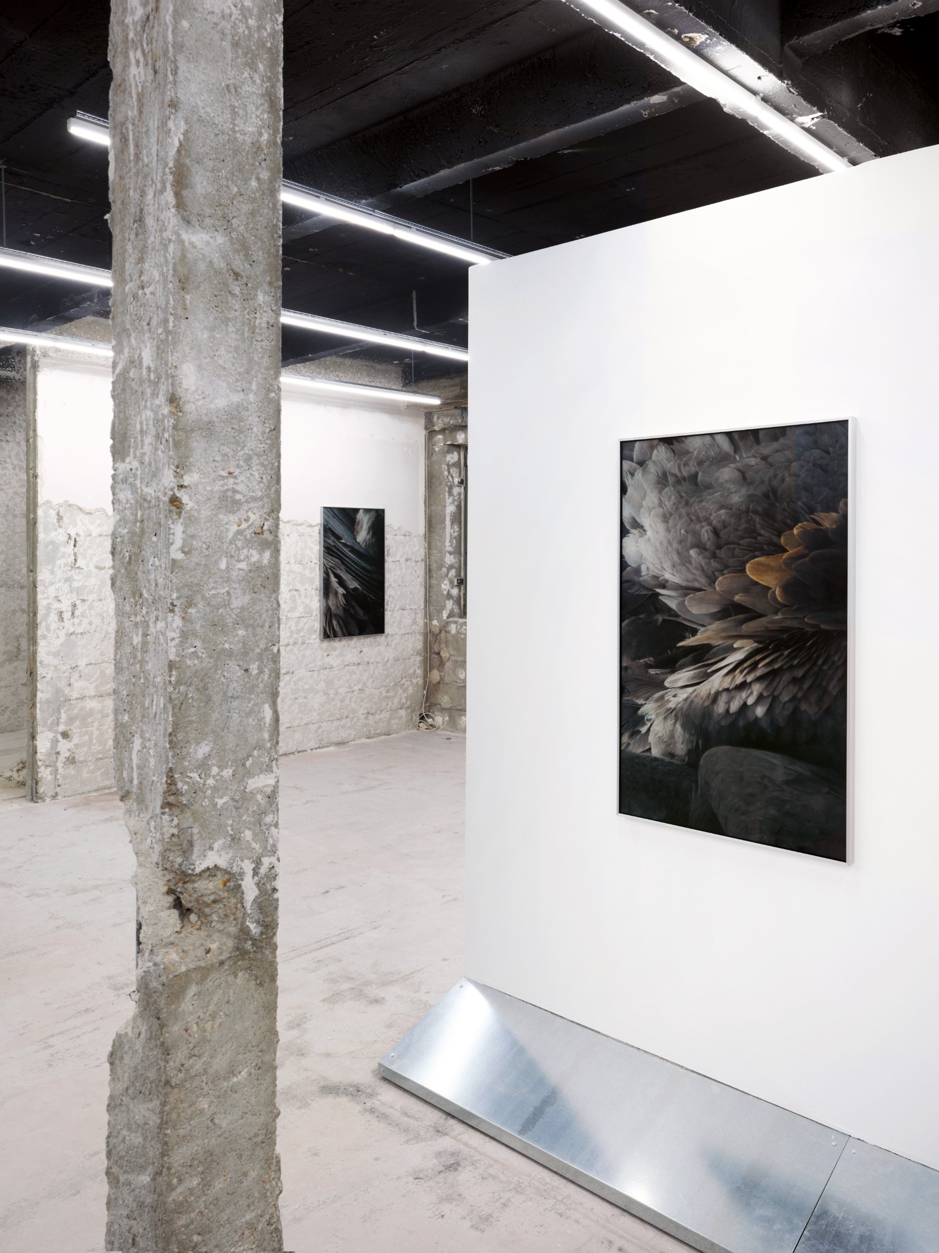 Dark photographic print on a white freestanding wall