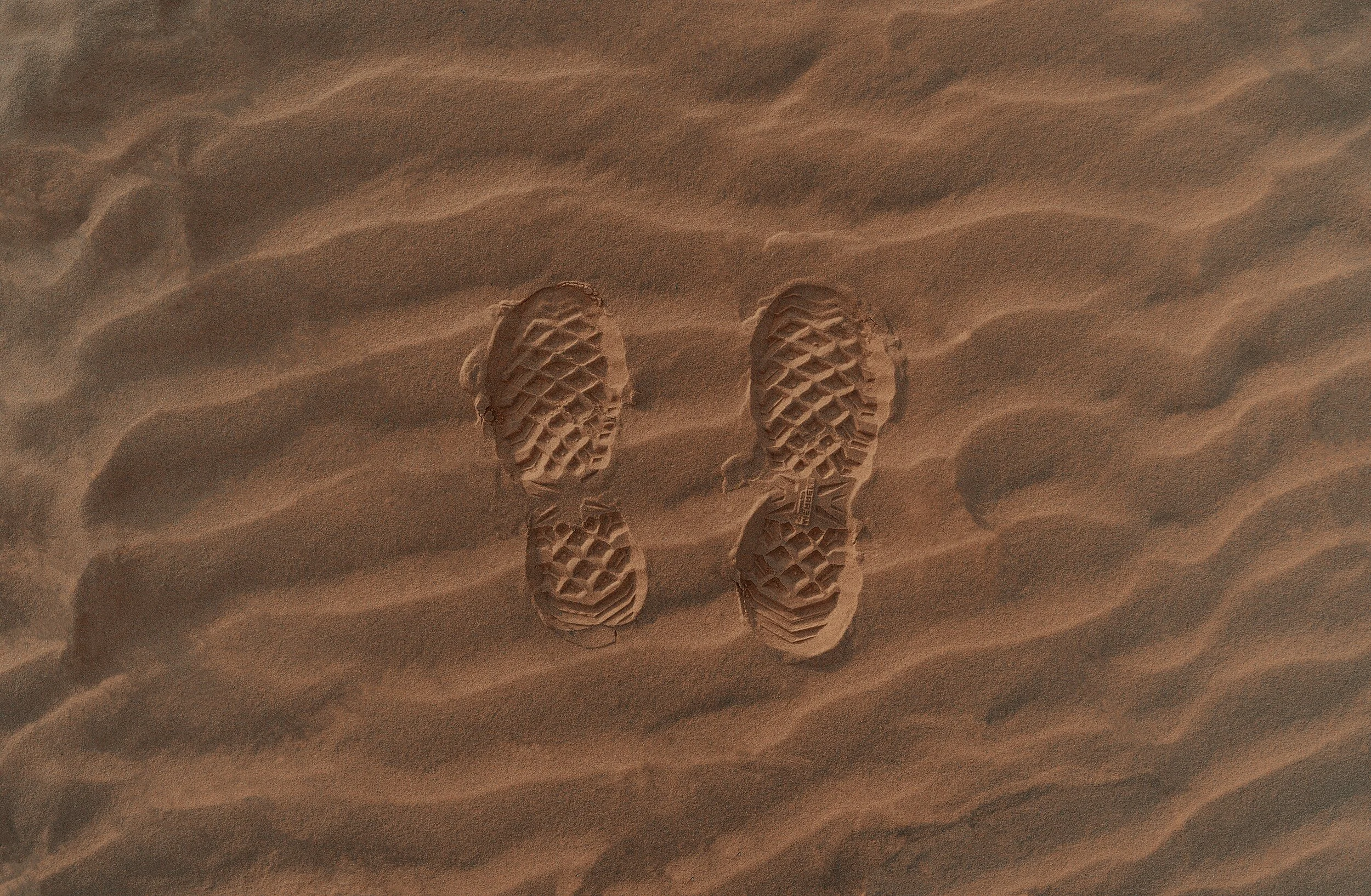 clay-banks-aq9G80Hm8mU-unsplash.jpg