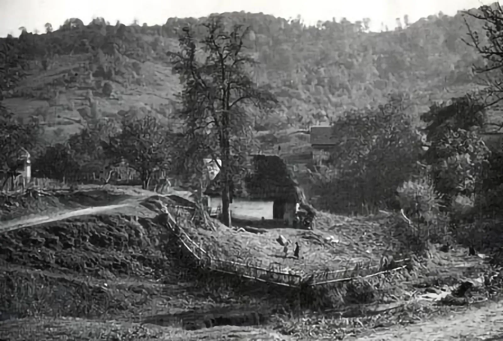 A typical village scene (place, date unknown).

