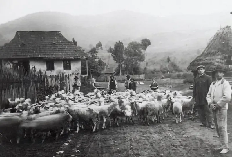 Jews and peasants with a herd of sheep on an unpaved village road in the Eastern Beskid range (Carpathian Mountains, date unknown).
