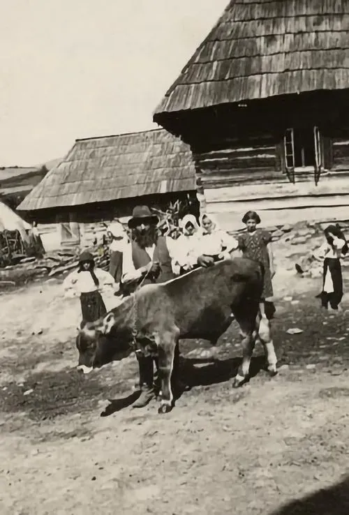 Jewish farming family with a calf beside wooden buildings (Maramos, Romania, 1930s).
