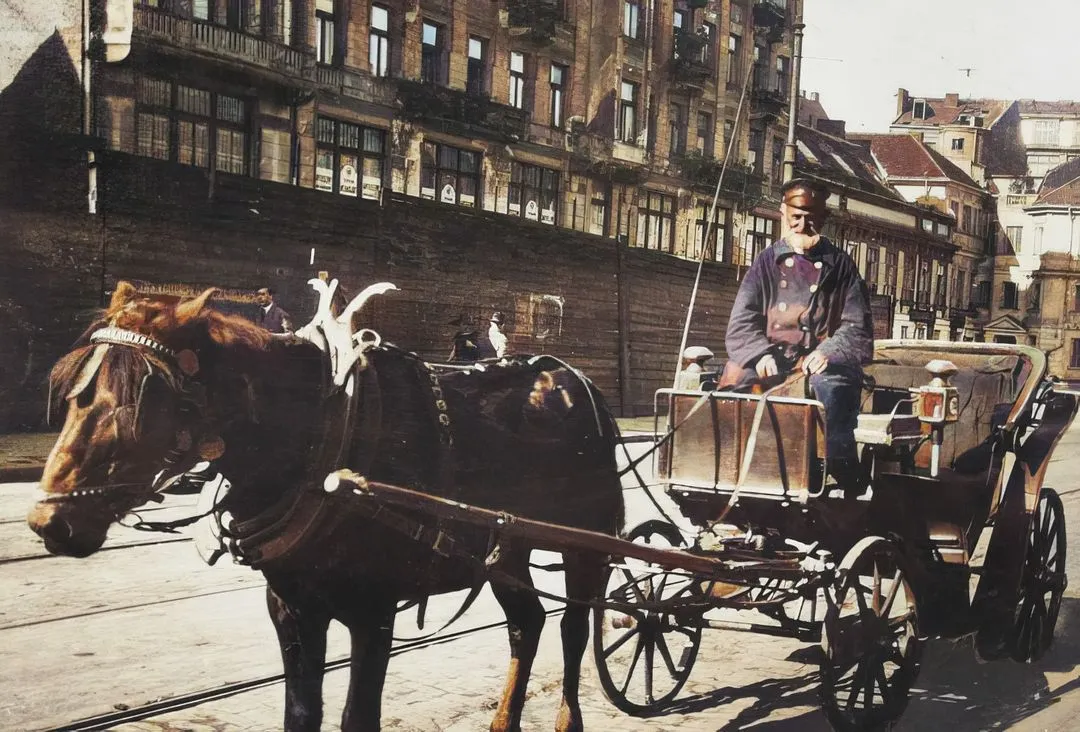 Stage Coach Driver