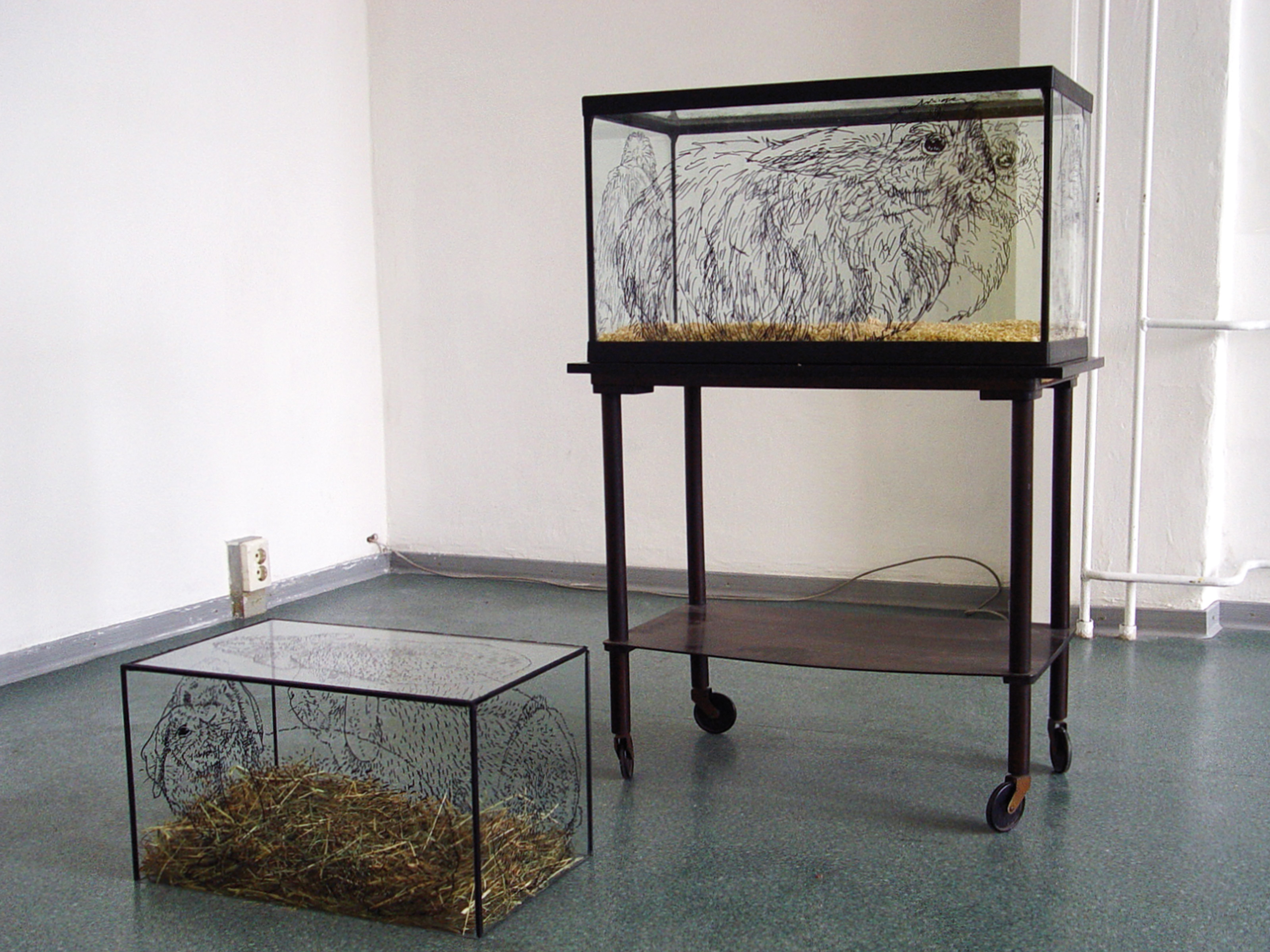 Kaninchen I+II