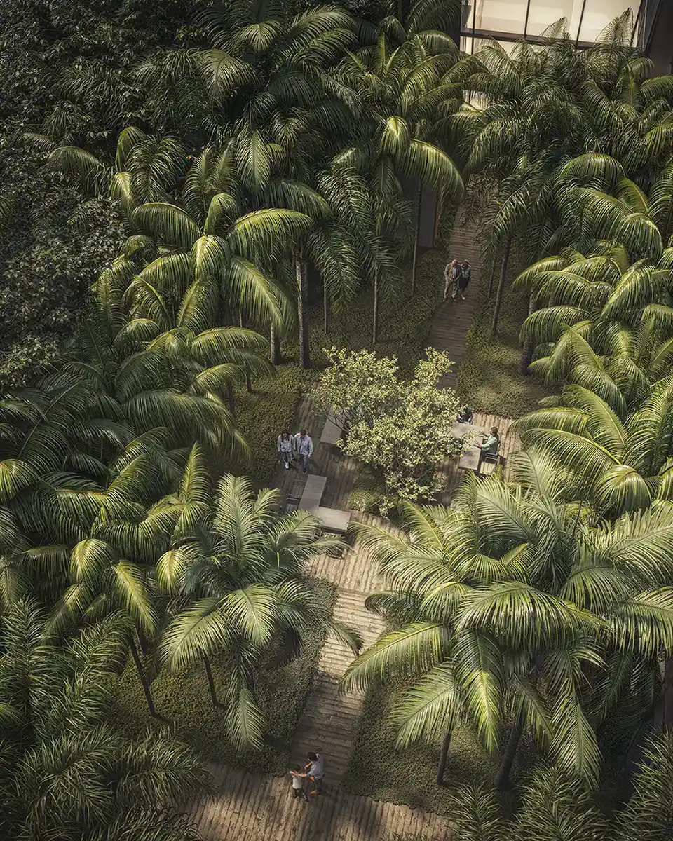 Bosque