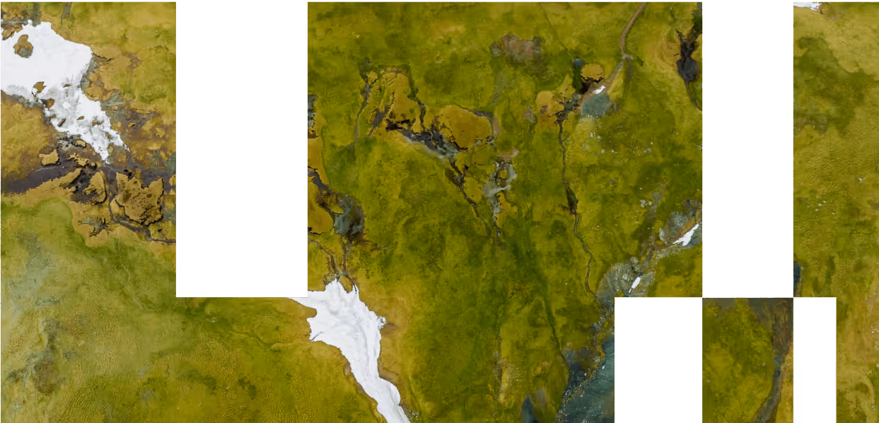 A fenwick case study about helping mgmtco a management consultancy revitalize their newsletter