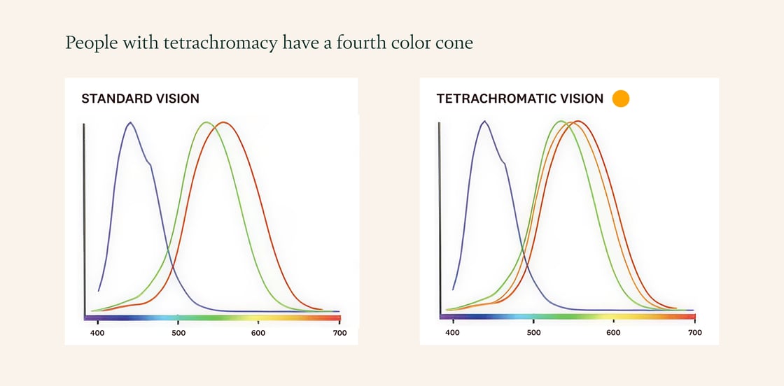 Rewild4-tetrachromacy