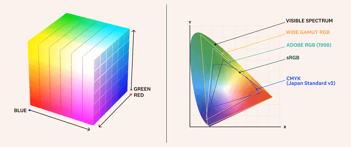 Rewild4-Comparison-Charts