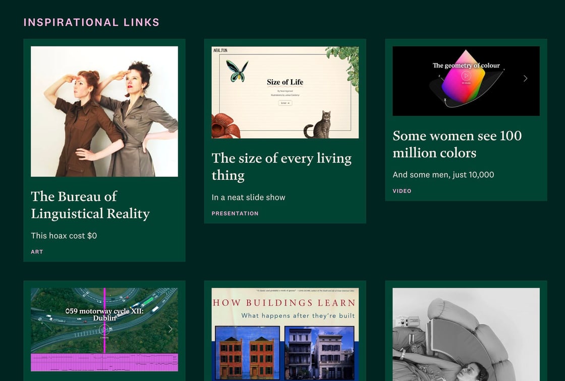 inspirational links rewild magazine