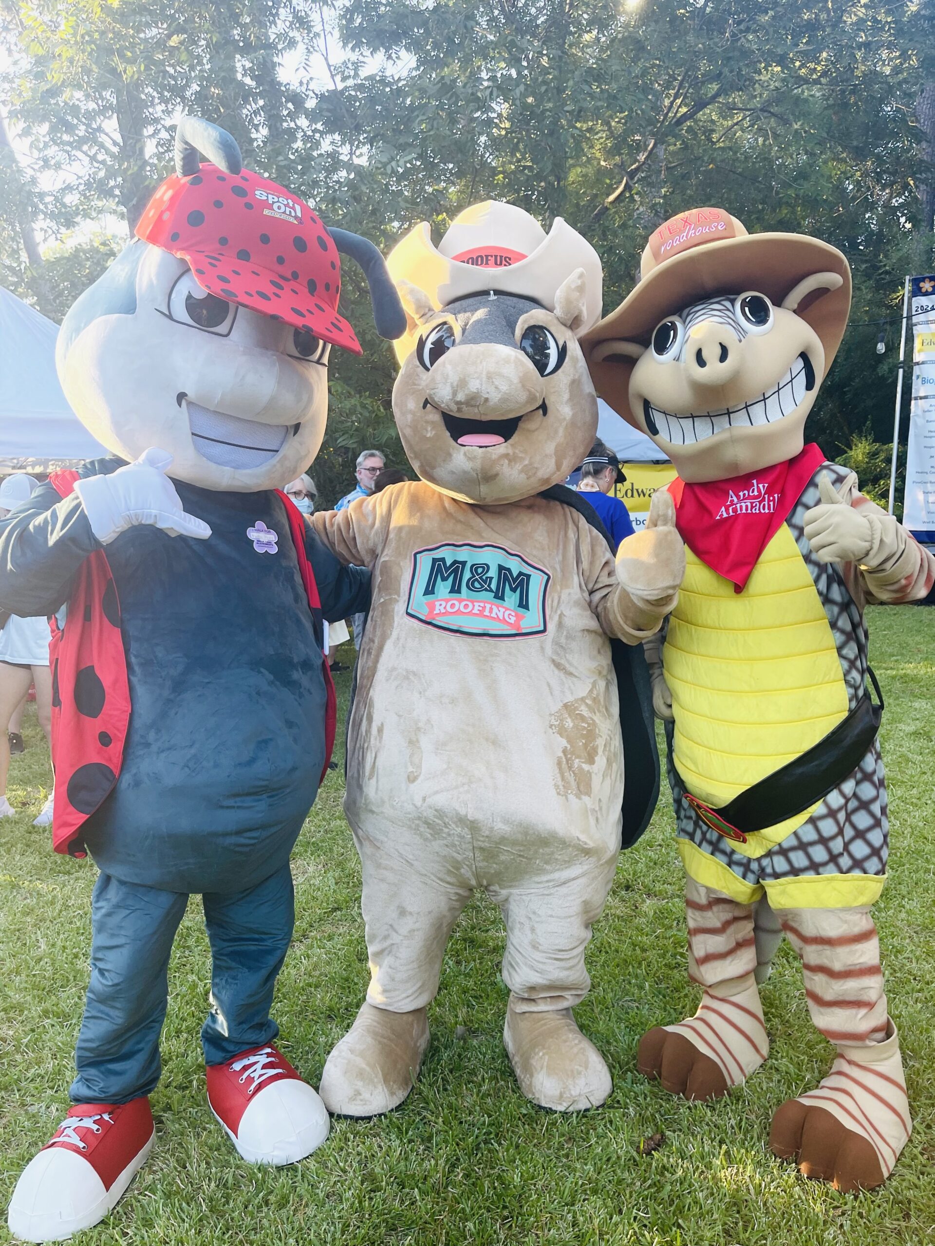 Three mascots posing together on grass.
