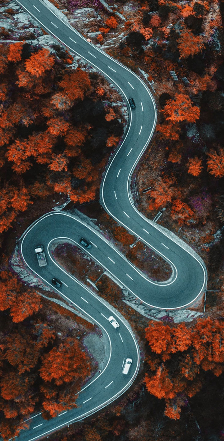 RoadMap