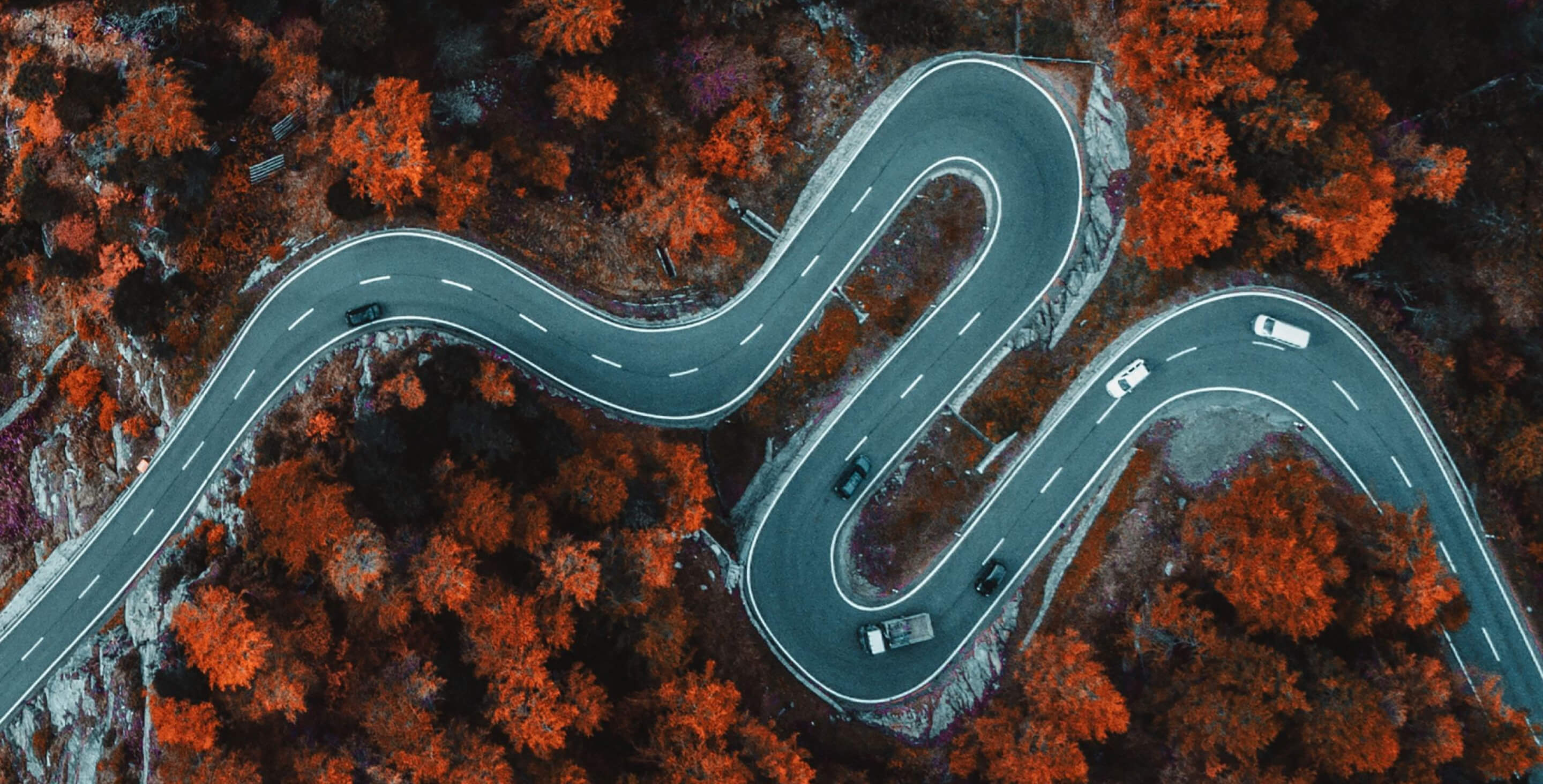 RoadMap