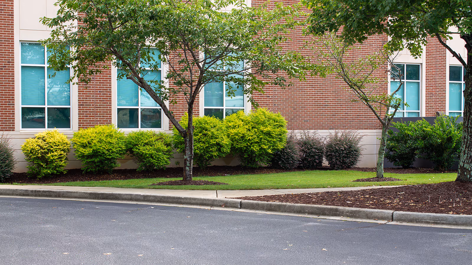 ChatGPT said:
Commercial lawn care and landscape maintenance for business park Powdersville SC – Southern Stripes Lawn & Landscapes near me