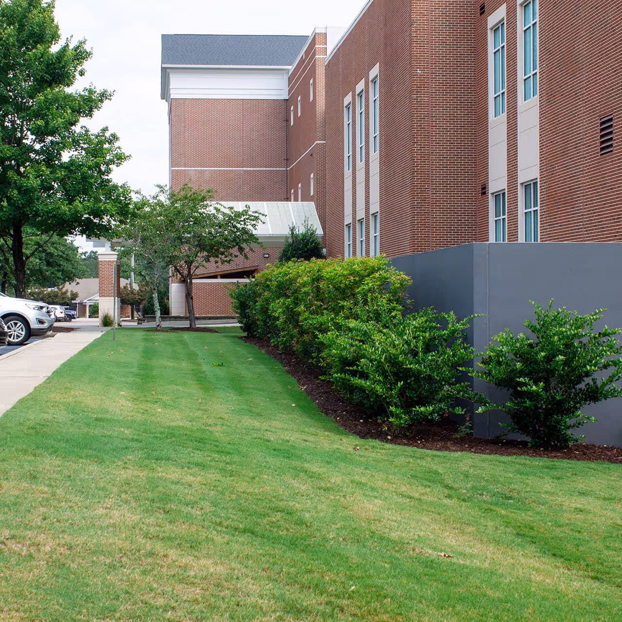 Weekly commercial landscape care by Southern Stripes Lawn & Landscapes Simpsonville SC