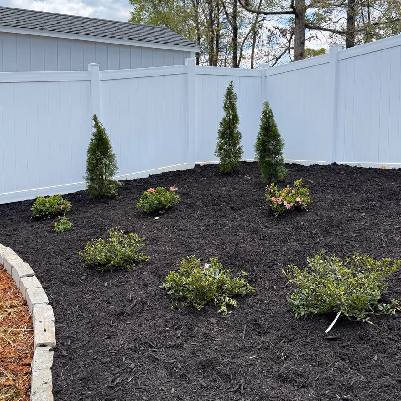 Landscape installation with fresh sod and shrubs Mauldin SC