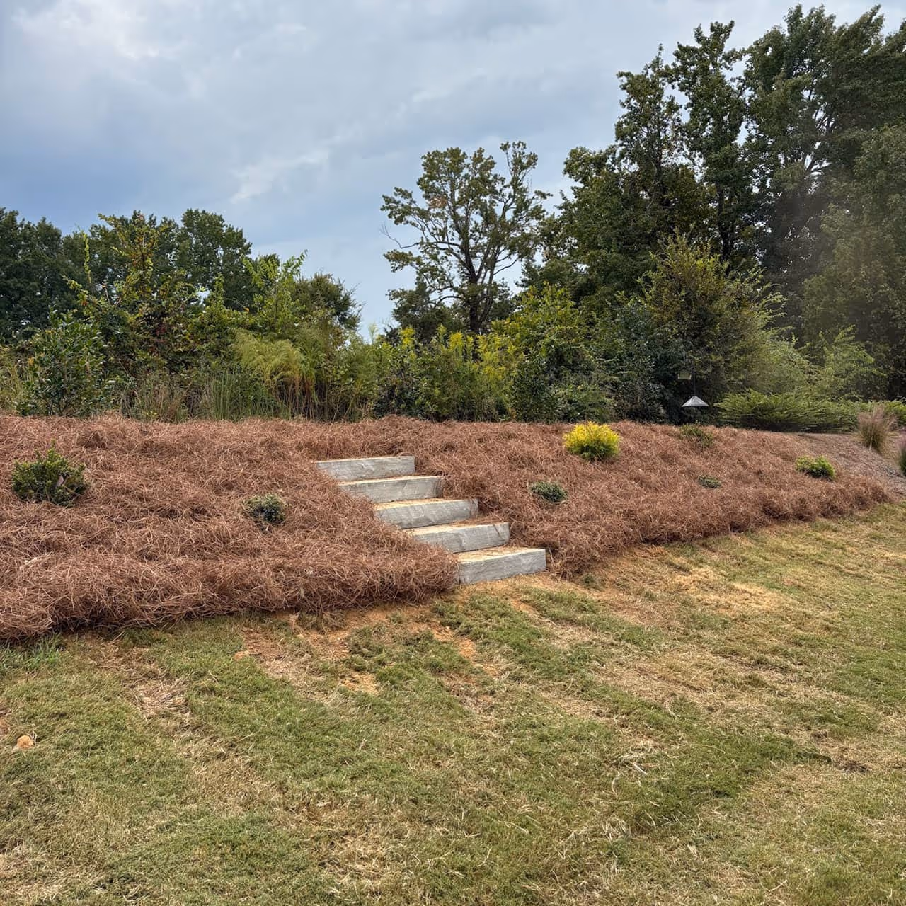 Landscape installation by Southern Stripes Lawn and Landscapes Greenville SC near me
