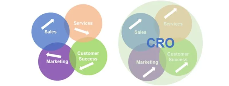 Two groupings of smaller circles labeled Sales, Services, Marketing, Customer Success. One circle has CRO overlayed.