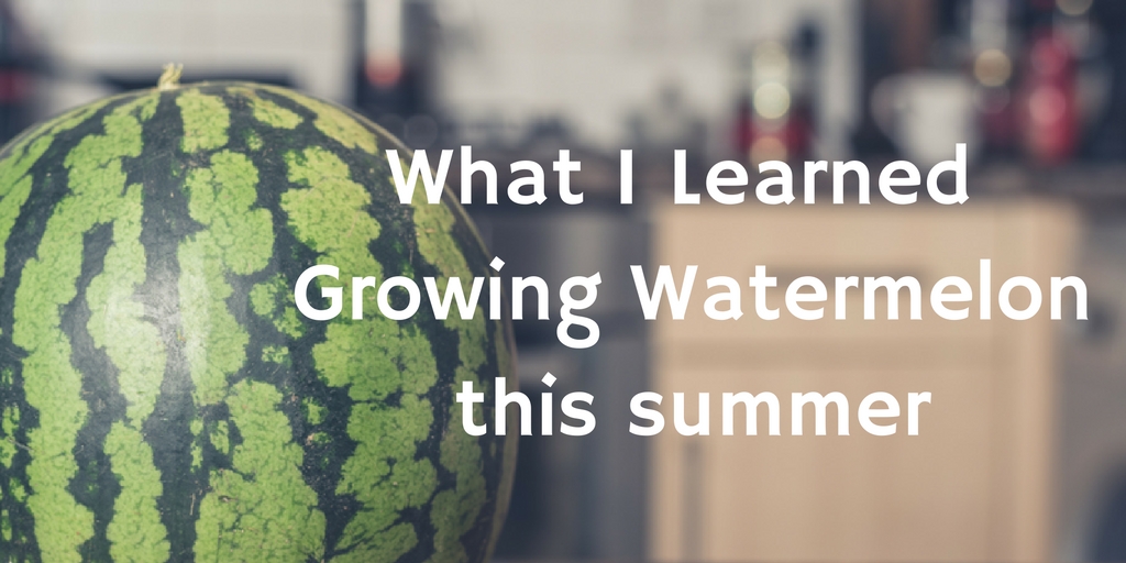 GrowingWatermelonTwitter_BrownMamas2