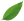 small green leaf pointing right