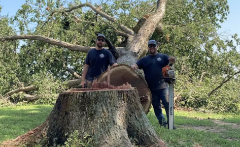 dogwood tree care employees standing next to tree that was cut down