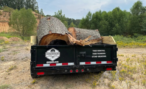 dogwood tree care black trailer with cut up trees in it