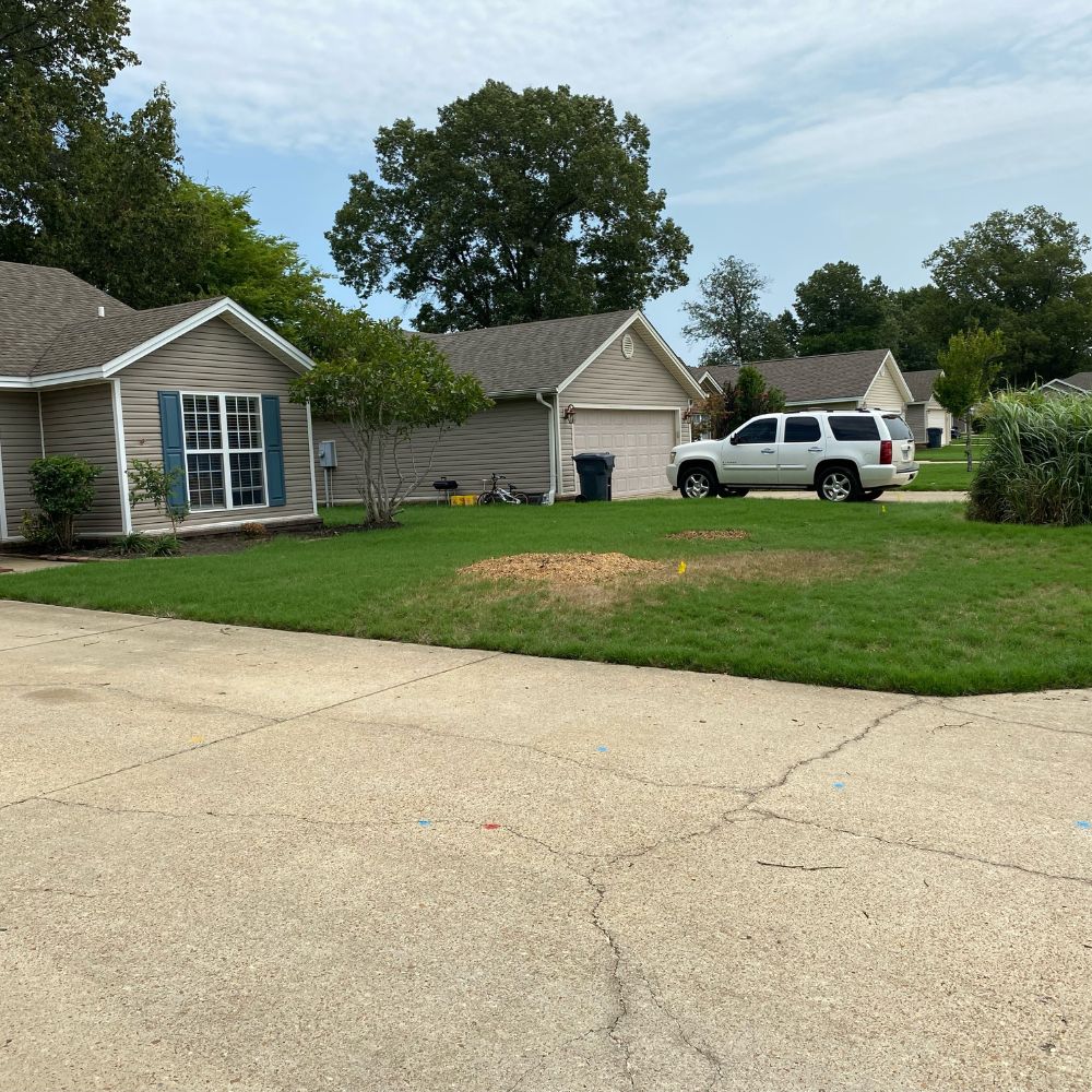 front yard of home where tree was removed and stump was grinded