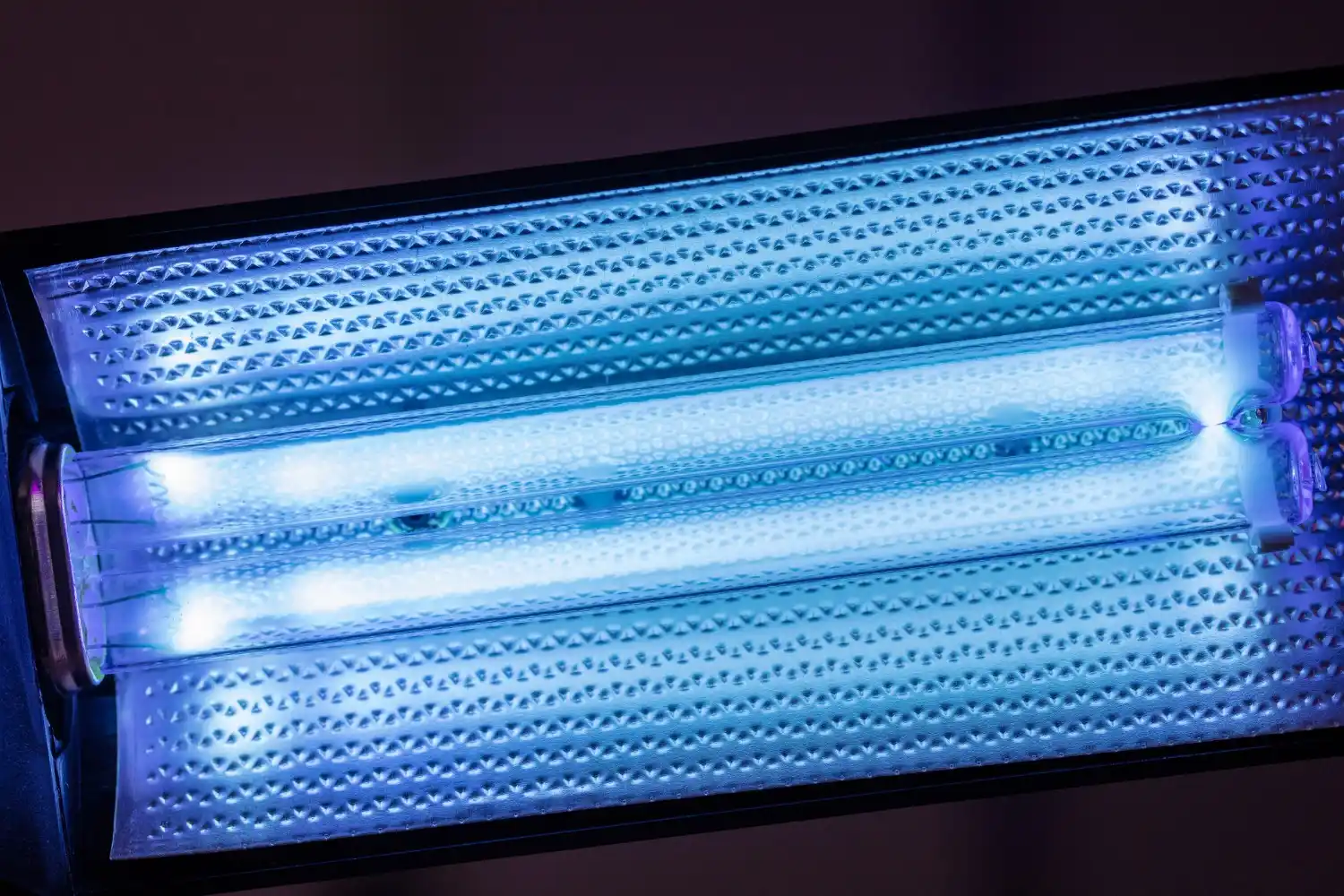 A close-up of a blue UV lamp with two glowing bulbs, designed for disinfection, mounted within a reflective housing.