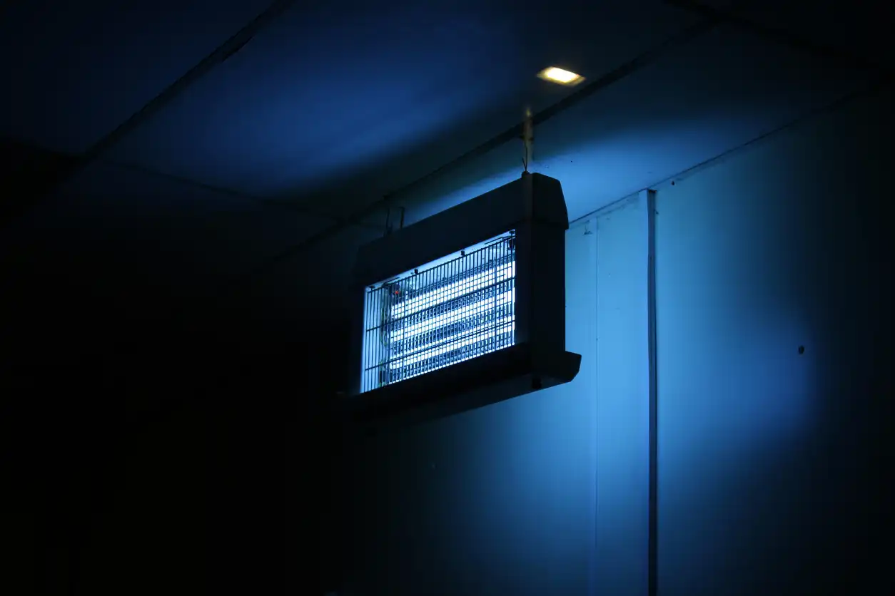 A single blue UV light fixture hangs from a dark ceiling, illuminating the wall below.