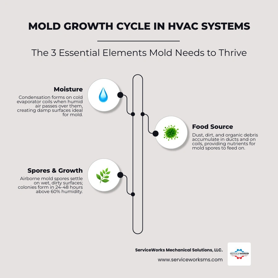 Mold growth cycle in HVAC systems showing humidity, condensation, spores, and colony formation - how proper hvac maintenance Mold growth cycle in HVAC systems showing humidity, condensation, spores, and colony formation - how proper hvac maintenance