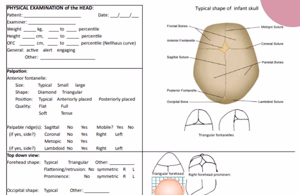 Printable physical-examination-of-the-head worksheet covering measurements, palpation, top-down view, side view, posterior view, and front view, with reference illustrations of typical and atypical infant skull shapes.