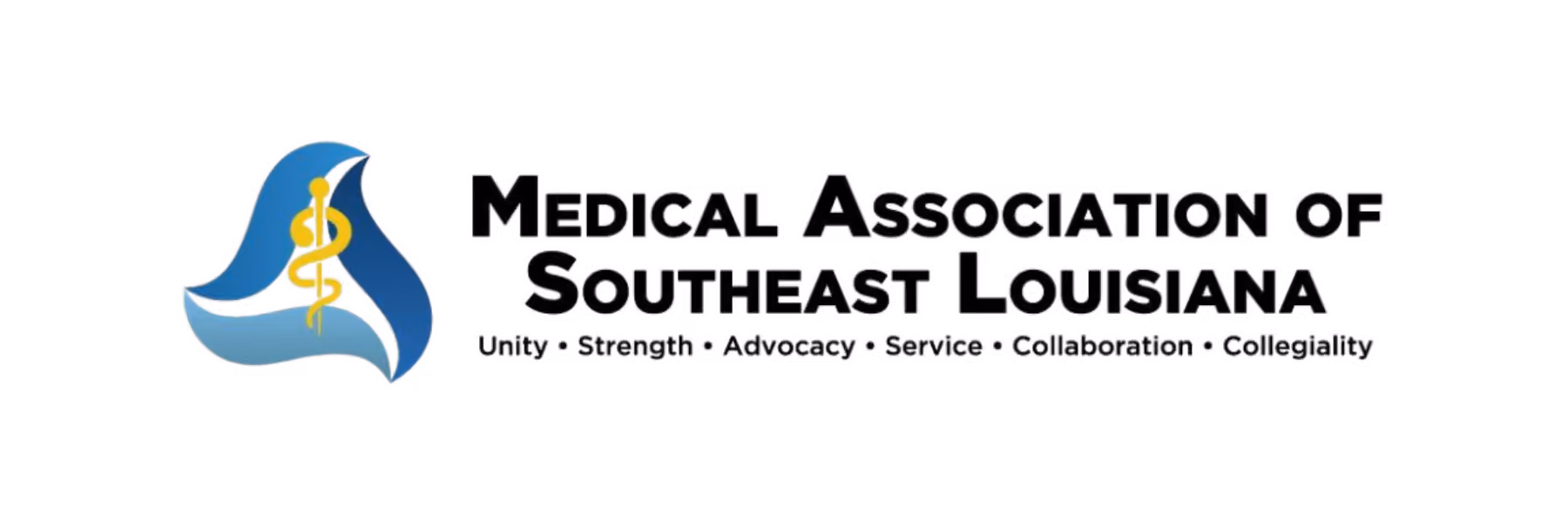 Medical Association of Southeast Louisiana logo, 2026 Pediatrics from the Parishes Conference Sponsor