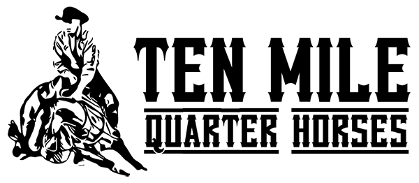 10 mike quarter horses logo