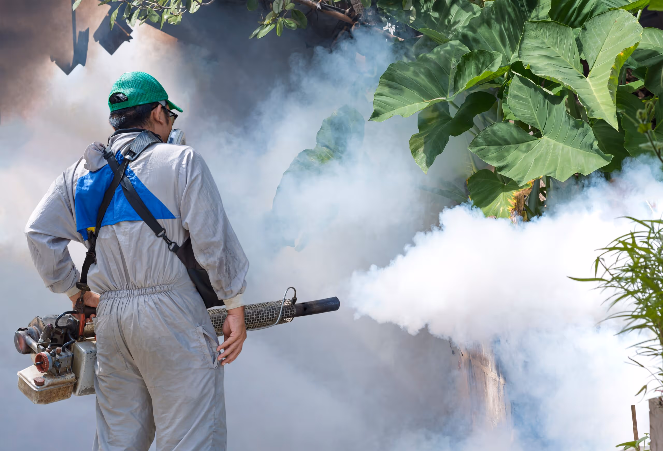 Effective Mosquito Control Services in Livingston, TX
