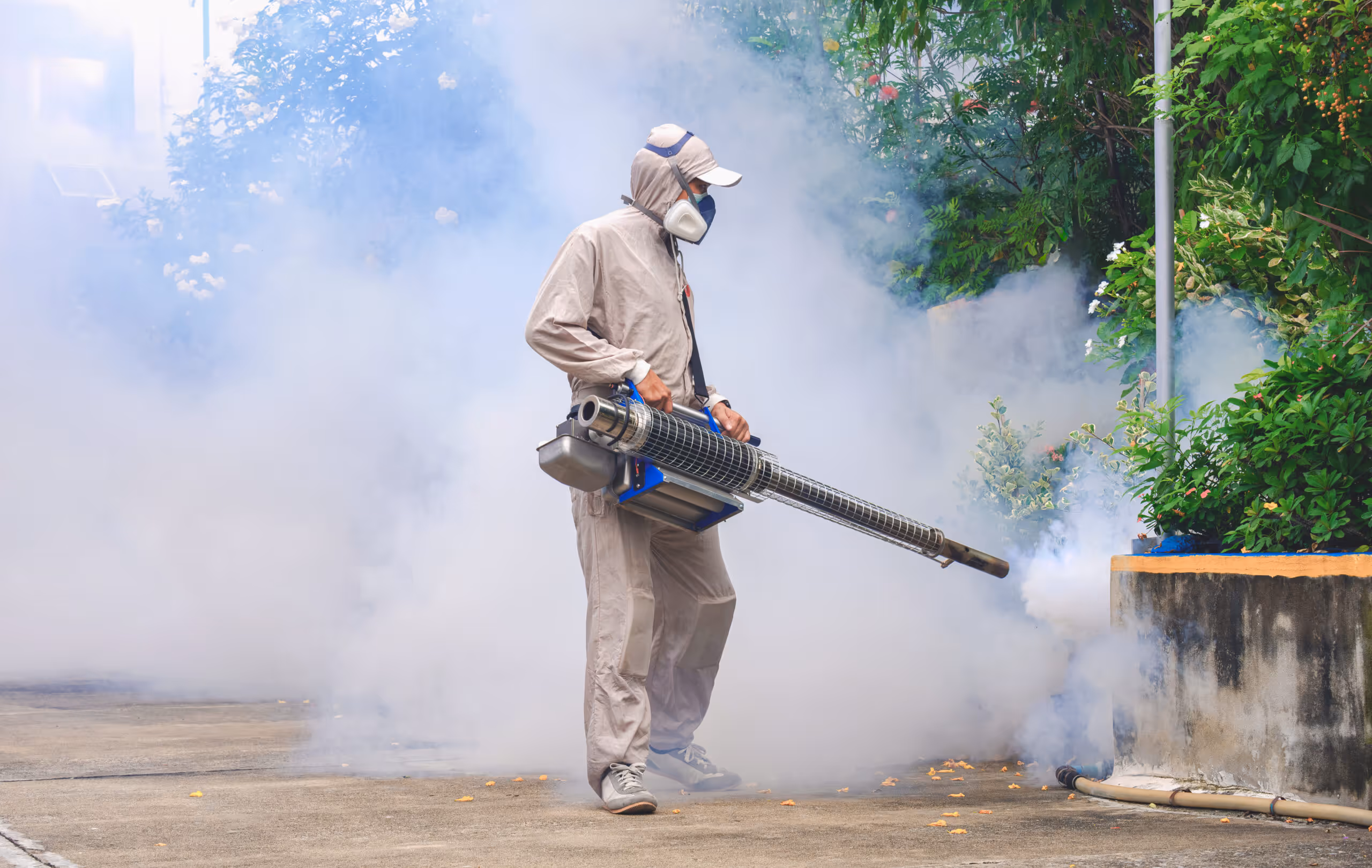 Comprehensive Mosquito Control Solutions for Livingston, TX Homeowners