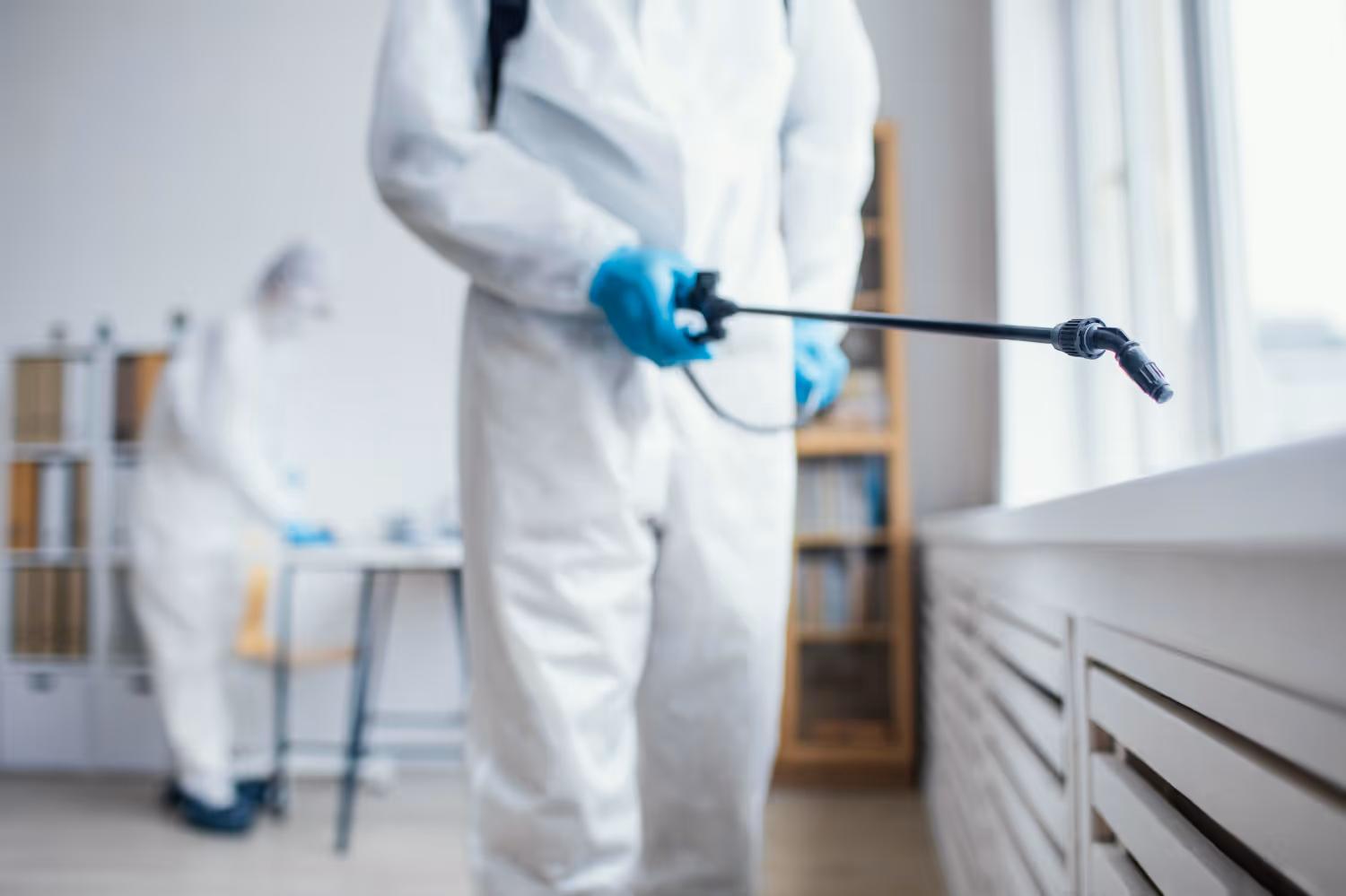 Expert Pest Control Services to Maintain a Healthy Living Space