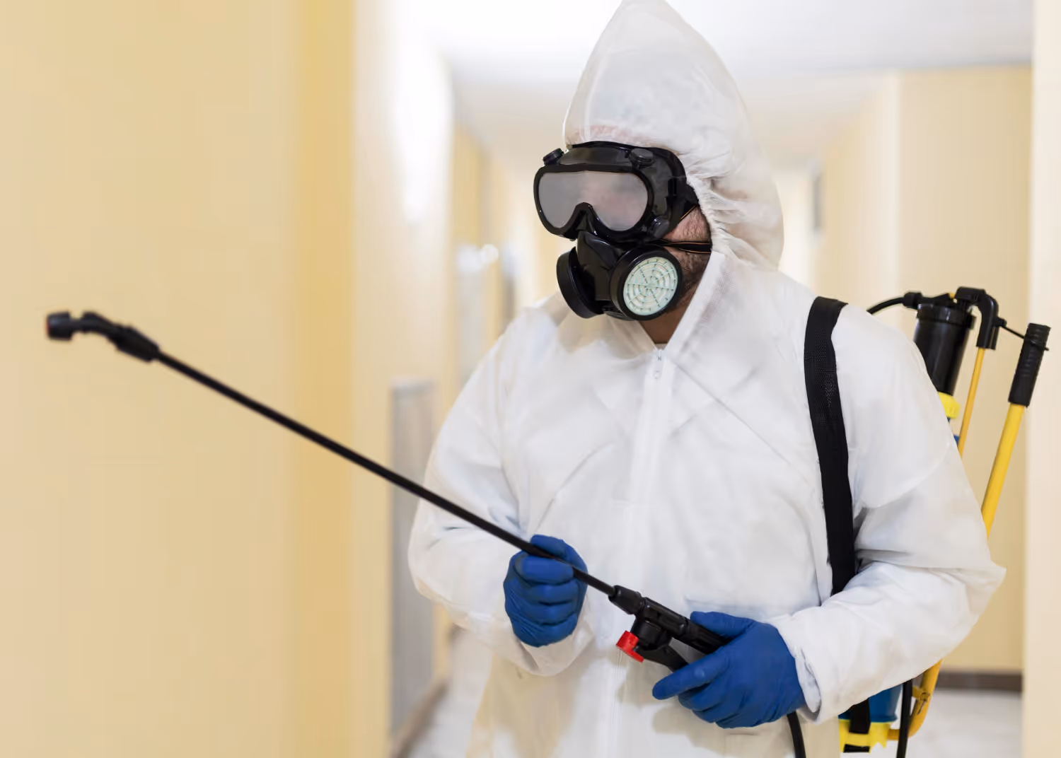 When to Schedule Professional Pest Inspections in Trinity