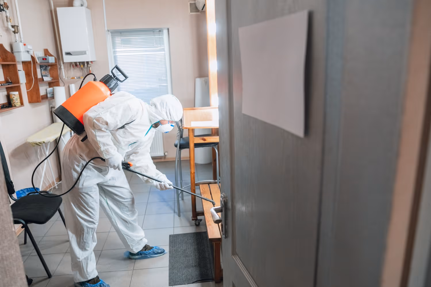 Natural vs Chemical Flea Control Solutions for Your Lufkin Yard