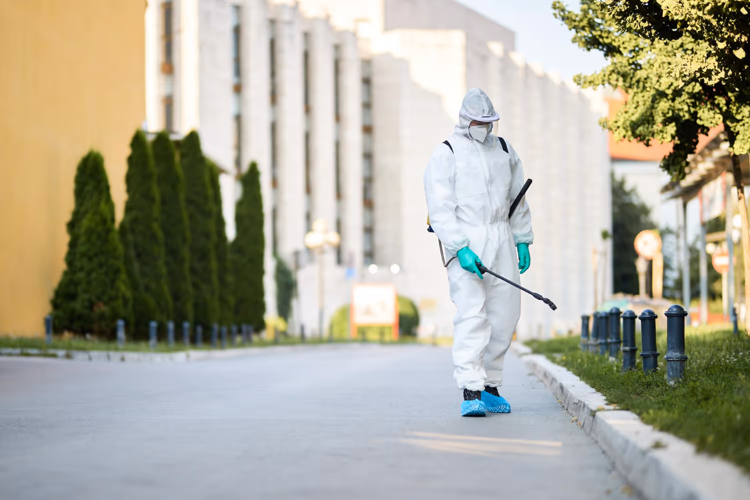 Stopping Flea Outbreaks in Shaded Areas of Your Lufkin Yard
