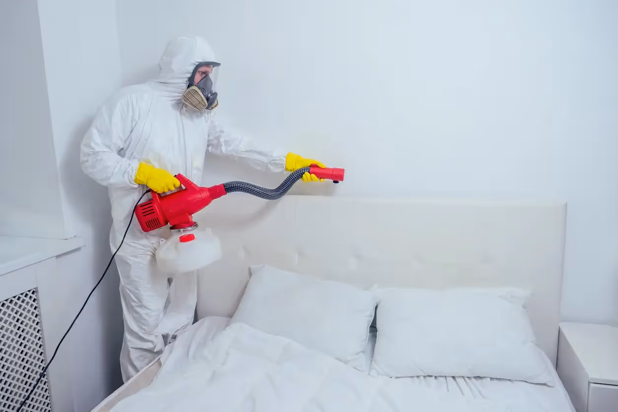 Comprehensive Termite Treatment Services in Crockett, TX