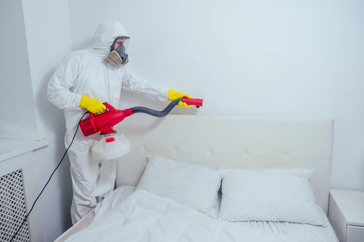 Comprehensive Termite Treatment Services in Crockett, TX