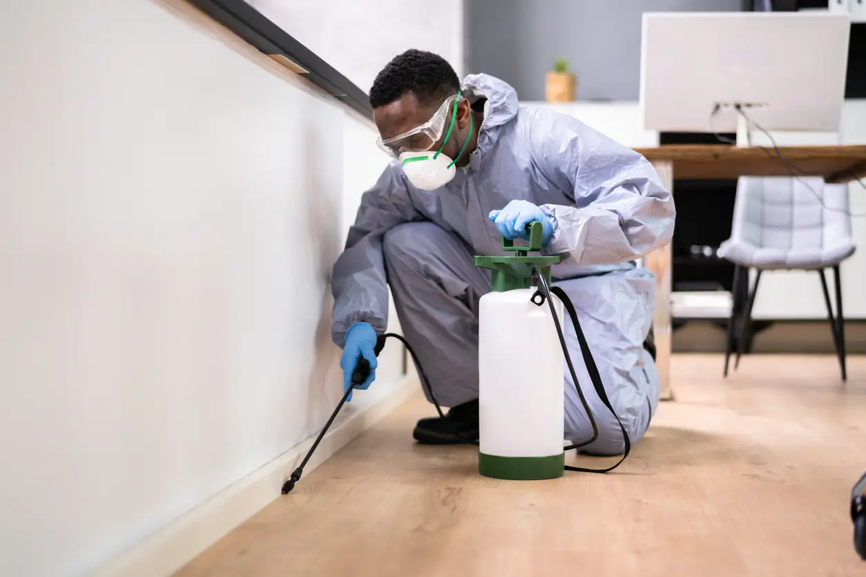 A pest control worker in a uniform uses a tool to treat a wall for termites or other pests