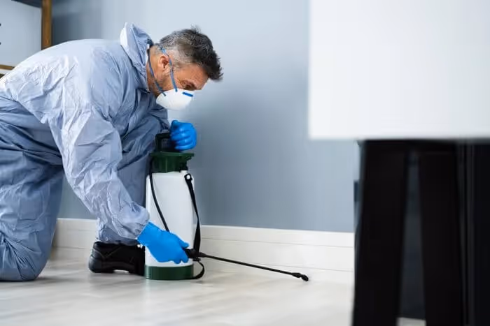 Ant Exterminator in Nacogdoches, TX