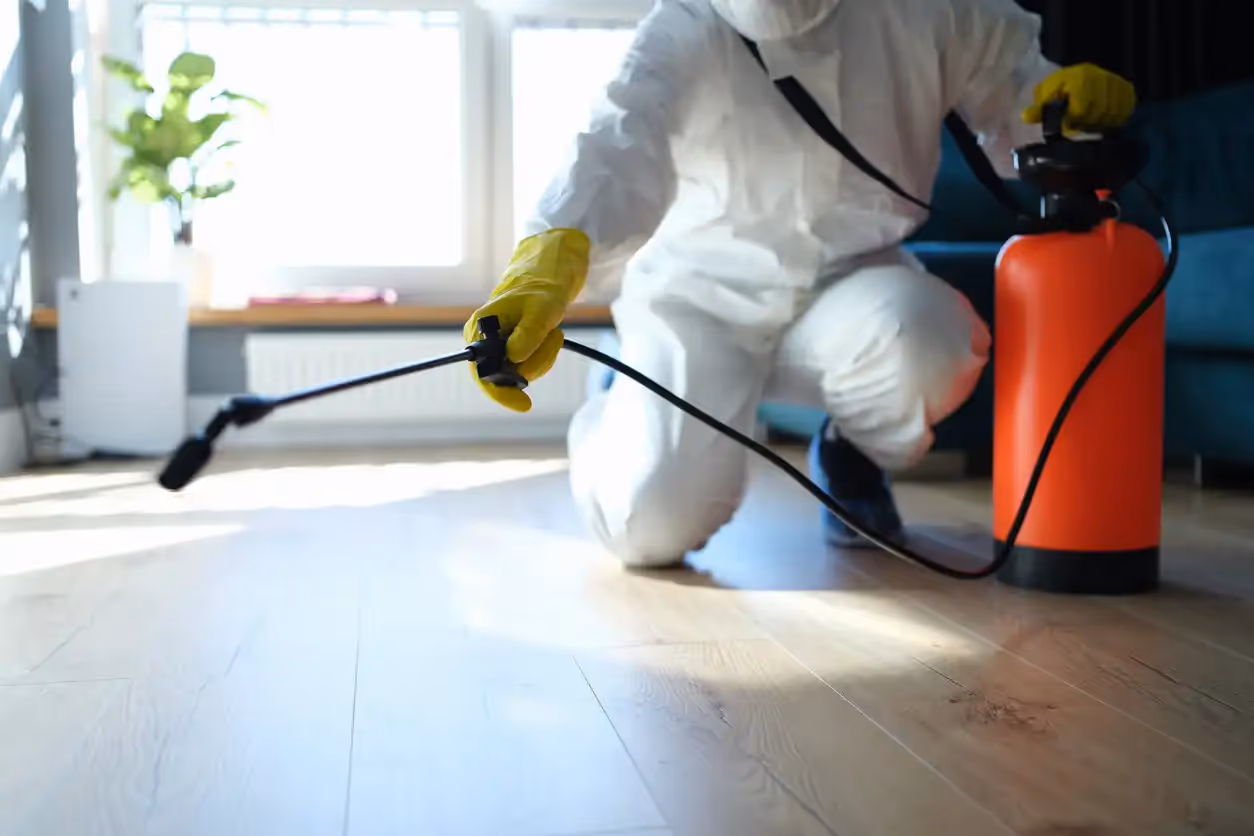 A person in a white hazmat suit and yellow gloves kneels on a wooden floor, holding an orange sprayer tank and a long nozzle.