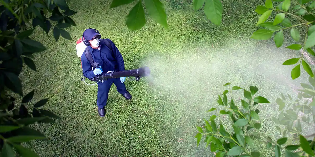 A pest control technician spraying a yard.